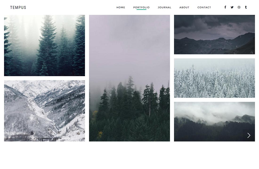 Tempus - Photography WordPress Theme - 3