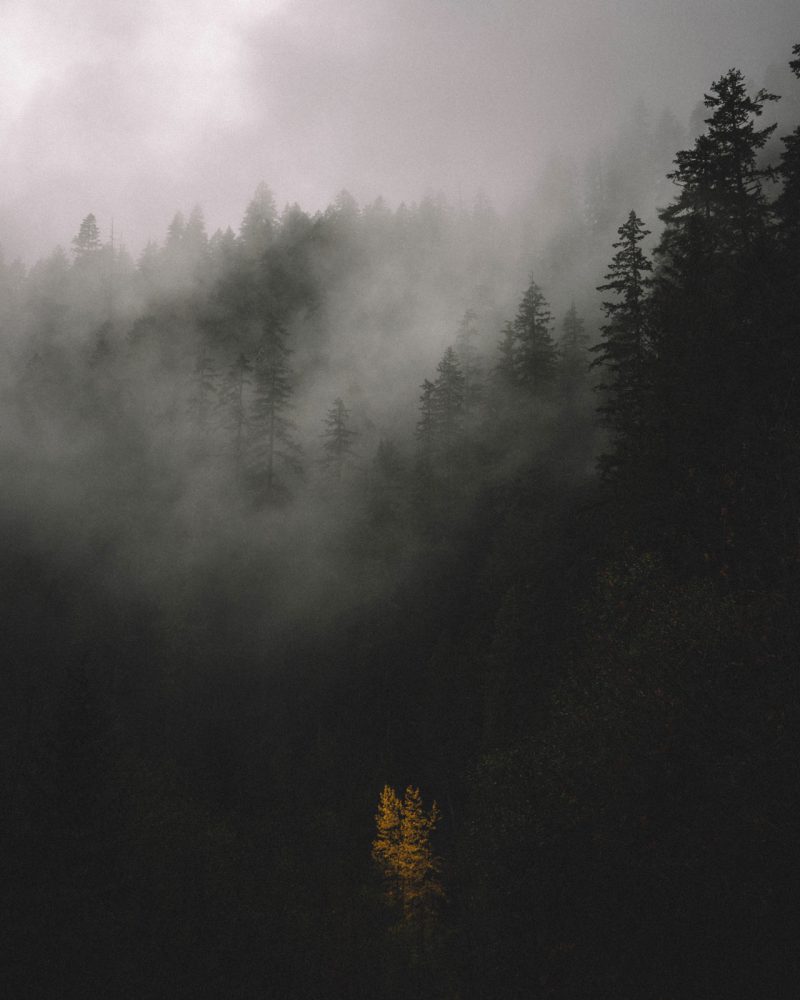 Daylight